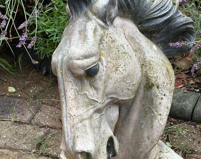 Garden Horse Head Sculpture / Statue Composition Stone - Very Heavy