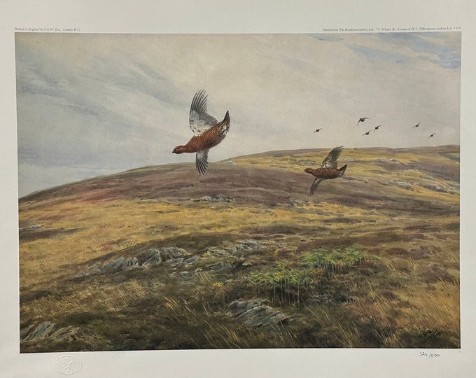 Limited Edition Print 324/500 After Vincent Balfour Browne Of Grouse On The Moor