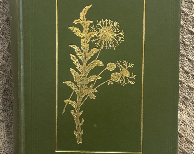 Vintage Flowers Of The Field Book By Rev C A Johns 13th Impression