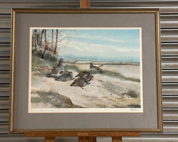 Wonderful Ltd Edition 21/500 ‘Sunny Bank Partridges’ By Philip Rickman