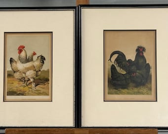Pair Of Antique Chromolithographic Poultry Theme Prints By Leighton Brothers
