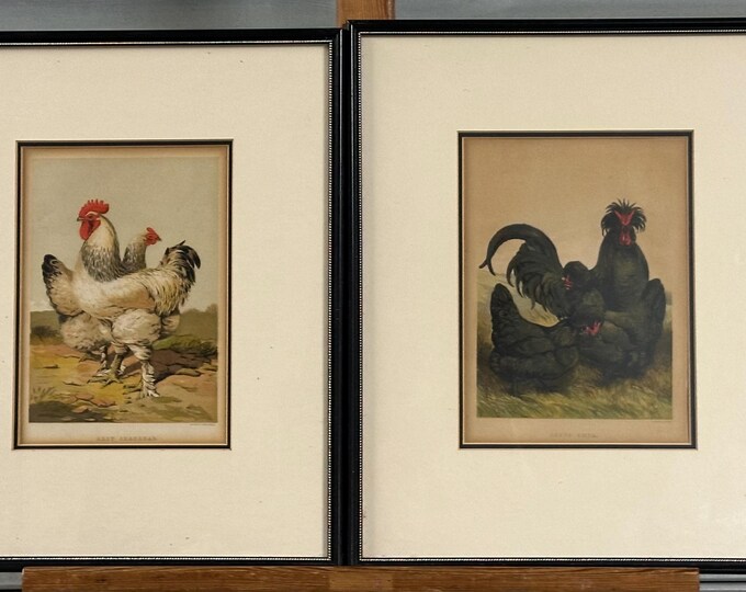 Pair Of Antique Chromolithographic Poultry Theme Prints By Leighton Brothers