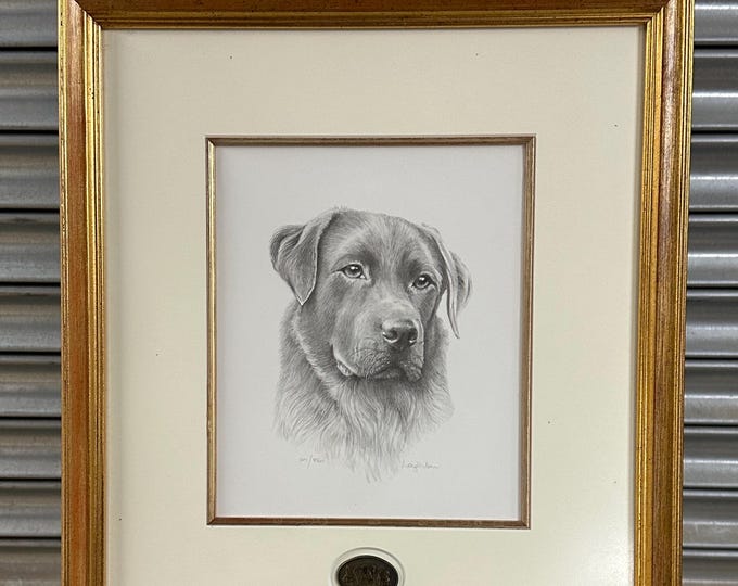 Lovely Limited Edition Print 101/850 Of A Labrador By Sandra Leighton