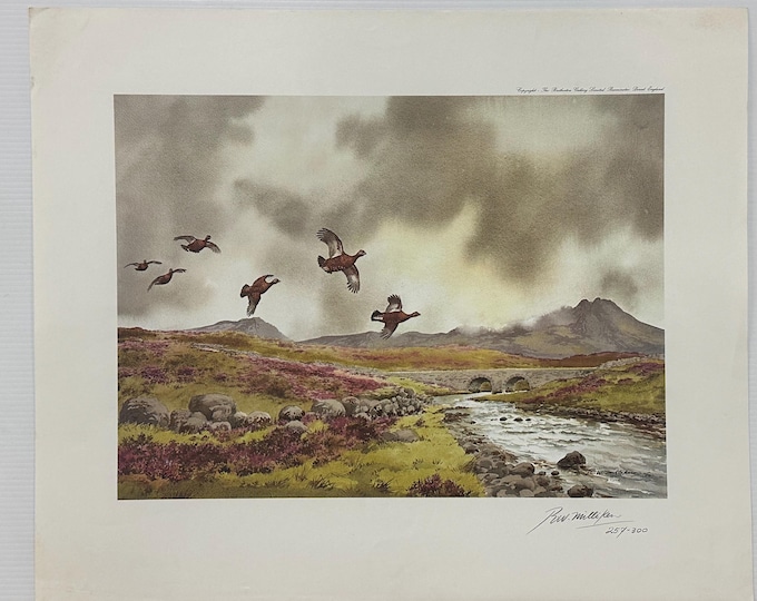 Ltd Edition Print 257/300 Of Grouse In Flight By Irish Artist Robert W Milliken