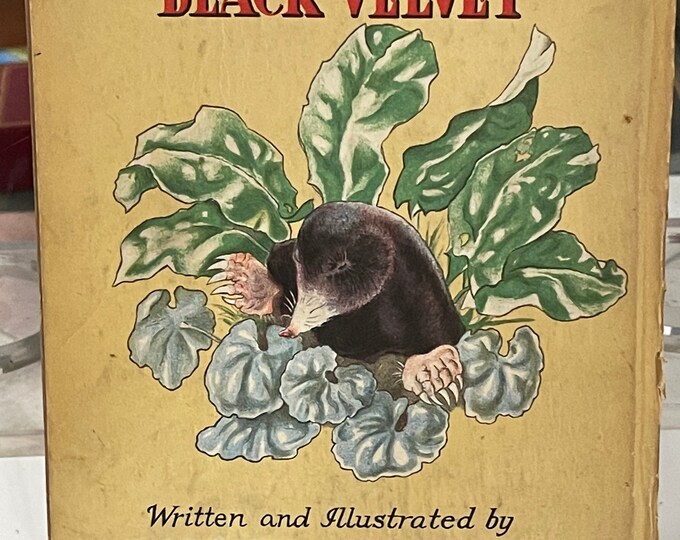Rare Childrens Book By The Artist And Illustrator Dorothy Burroughes ‘The Gentleman in Black’