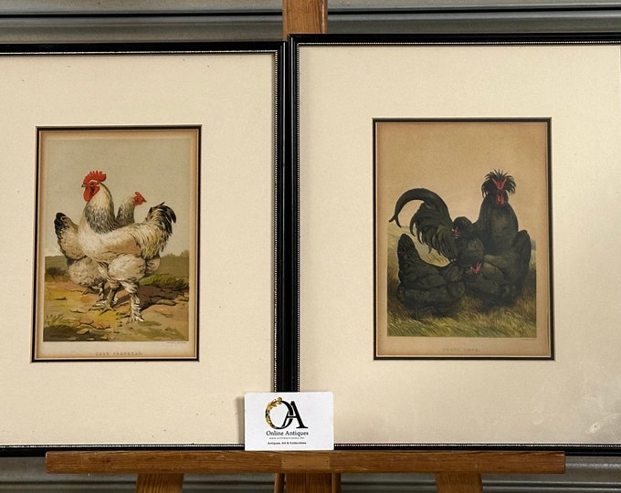 Pair Of Antique Chromolithographic Poultry Theme Prints By Leighton Brothers