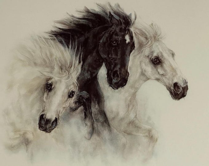 Large Stunning Print Of Horses Signed By Artist Nikki