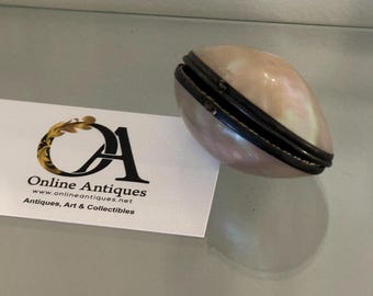 Antique 19th C Ormolu & Natural Shell / Mother of Pearl Snuff Box / Trinket Box