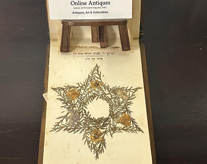 Rare Antique Pressed Flowers In A Souvenir Book From The Holy Land Of Jerusalem