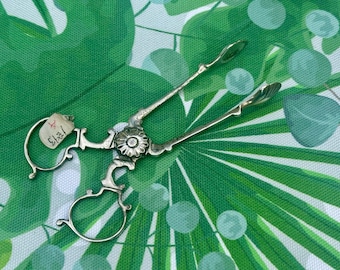 Lovely Antique Victorian Hallmarked London Silver 1893 Sugar Nips / Sugar Tongs