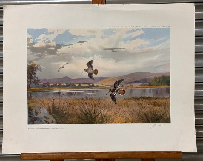 Limited Edition Woodcock Print by John Cyril Harrison Signed by the Artist - This is Limited Edition 164 of 500 copies