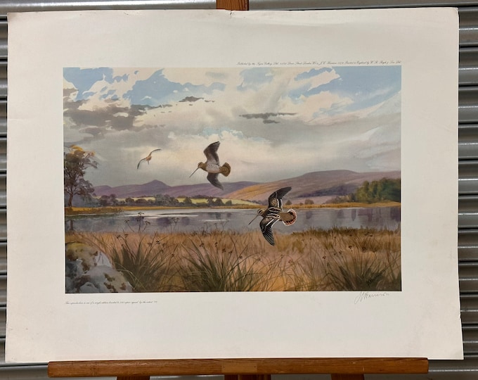 Limited Edition Woodcock Print by John Cyril Harrison Signed by the Artist - This is Limited Edition 164 of 500 copies