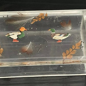 Unusual Vintage German Kuhn Zinn Perspex Box With Duck, Feathers & Shot