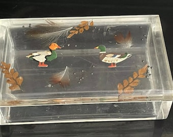 Unusual Vintage German Kuhn Zinn Perspex Box With Duck, Feathers & Shot