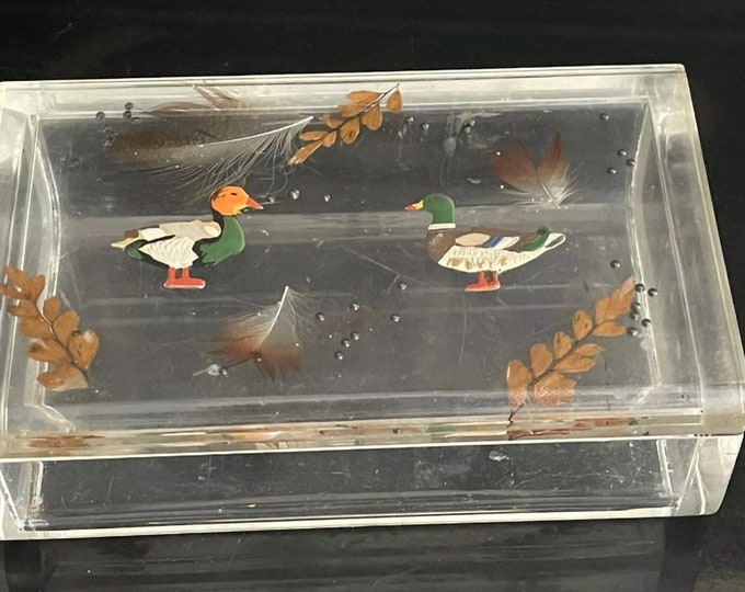 Unusual Vintage German Kuhn Zinn Perspex Box With Duck, Feathers & Shot