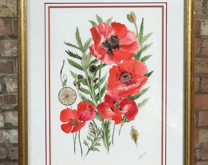 Original Watercolour Of Poppies By A Howard In A Gilt Frame