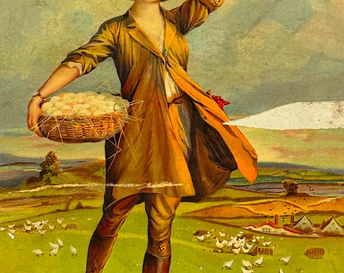 Antique Circa 1920 Advertising Print On Board For Cook’s Farm Eggs