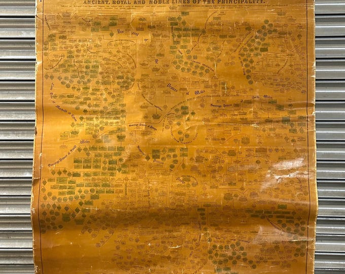 Rare Antique Welsh History Genealogy Map St Asaph July 21st 1851 Published for The Authority By W Hughes, Aldine Chambers, London