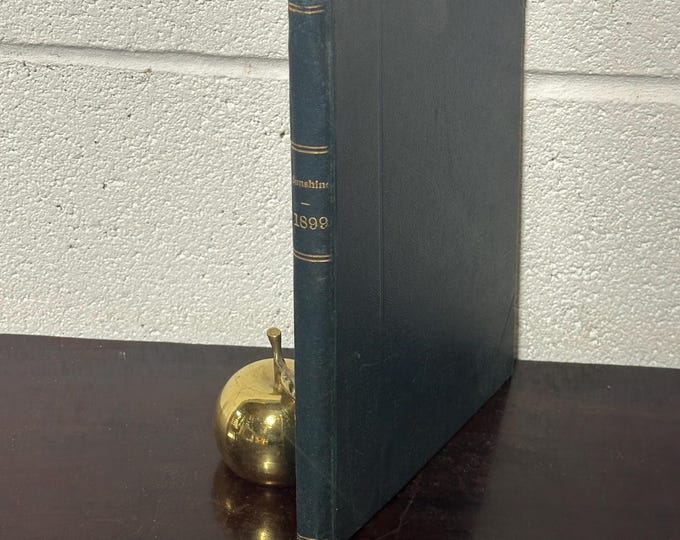 Antique Book - Sunshine For 1899. For the Home, the School, and the World