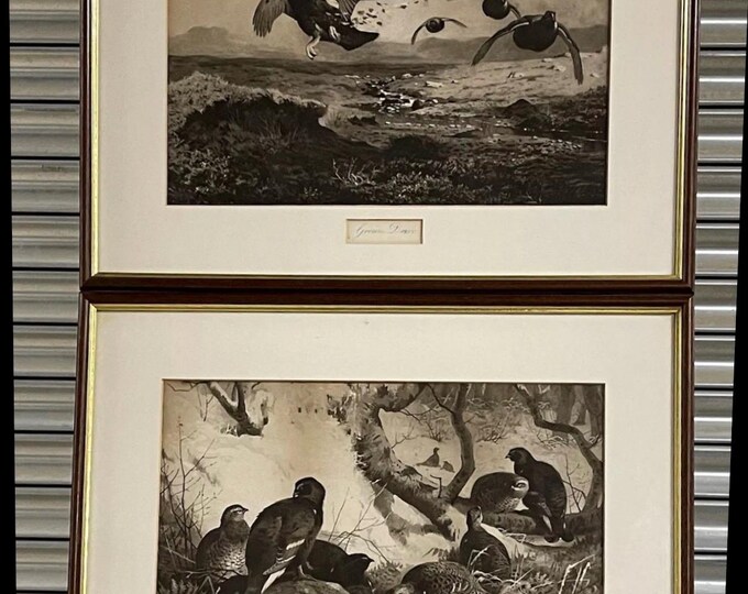 Superb Pair of Quality 19th Century Game Shooting Photogravure’s Artwork by Archibald Thorburn