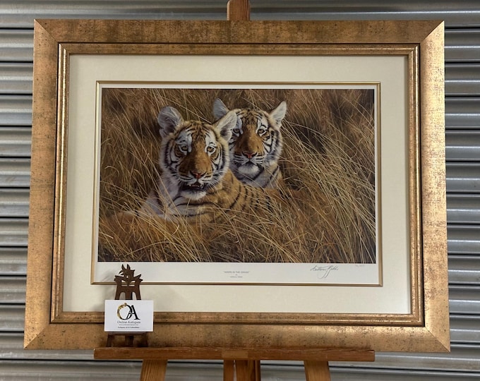 Superb Large Framed Print Of Tiger Cubs ‘Wisps In The Grass’ By Anthony Gibbs