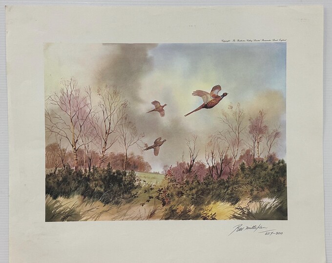 Ltd Edition Print 257/300 Of Pheasant In Flight By Irish Artist Robert W Milliken