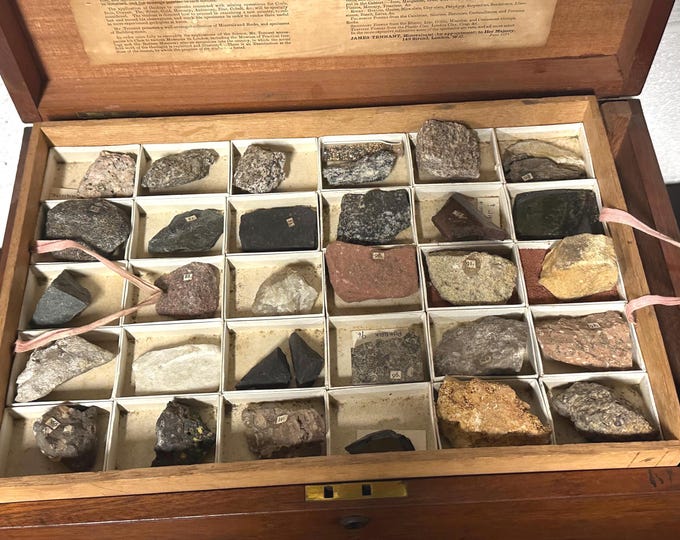 Rare 19th Century James Tennant Cabinet of Fossils & Minerals circa 1870’s