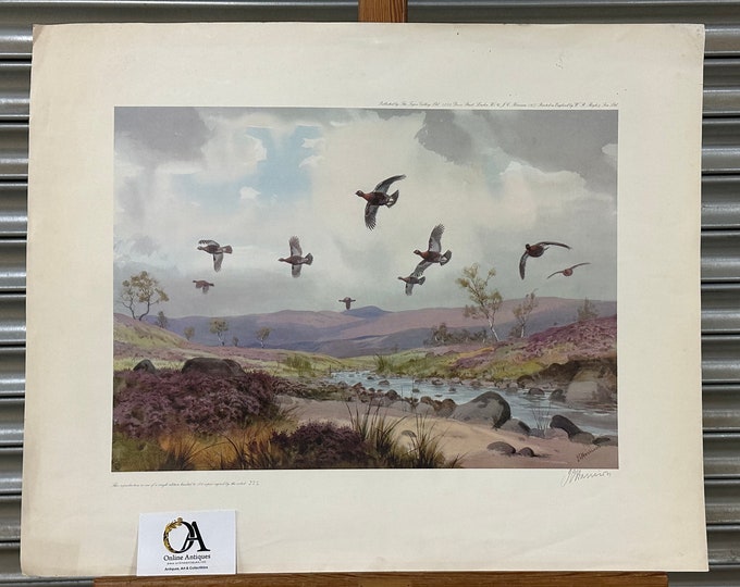 Limited Edition Grouse Print by John Cyril Harrison Signed by the Artist 223/500