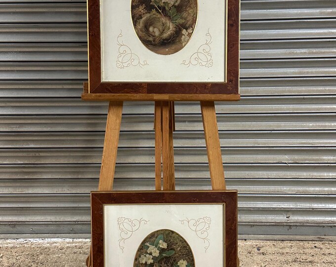 Beautiful 19th Century Victorian Pair Of Watercolours Of Birds Nests