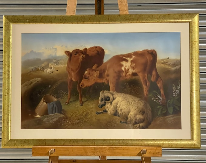 Superb Large Chromolithograph After G W Horlor - Depicting Calves And Sheep