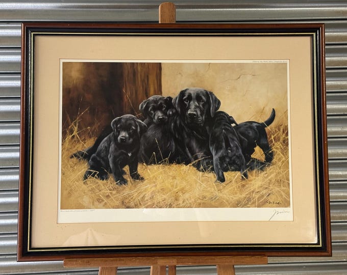 Lovely Limited Edition Print Of A Black Labrador With Puppies By John Trickett