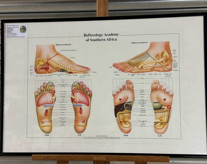 Large Reflexology Medical Poster Of Feet By Chris Stormer, South Africa