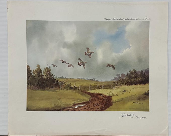 Ltd Edition Print 257/300 Of Partridge In Flight By Irish Artist Robert W Milliken