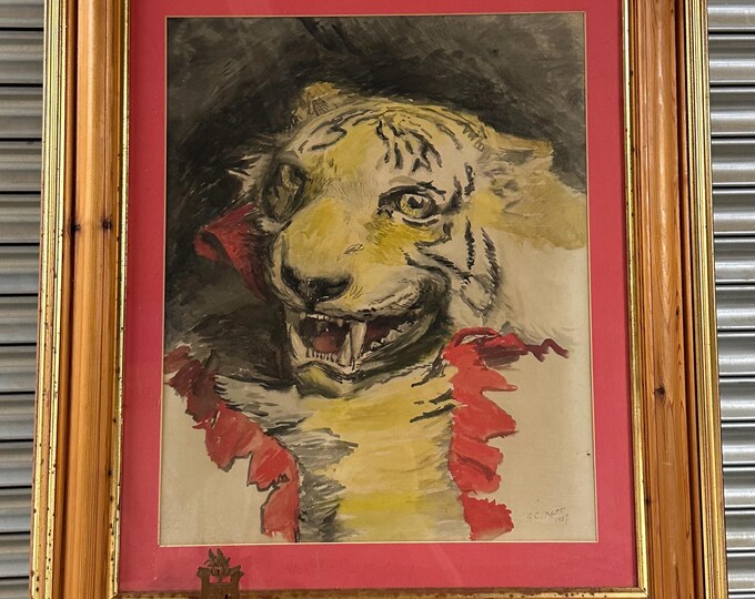Superb Original Watercolour Of A Tiger By The Renowned Artist George Cochrane Kerr dated 1904