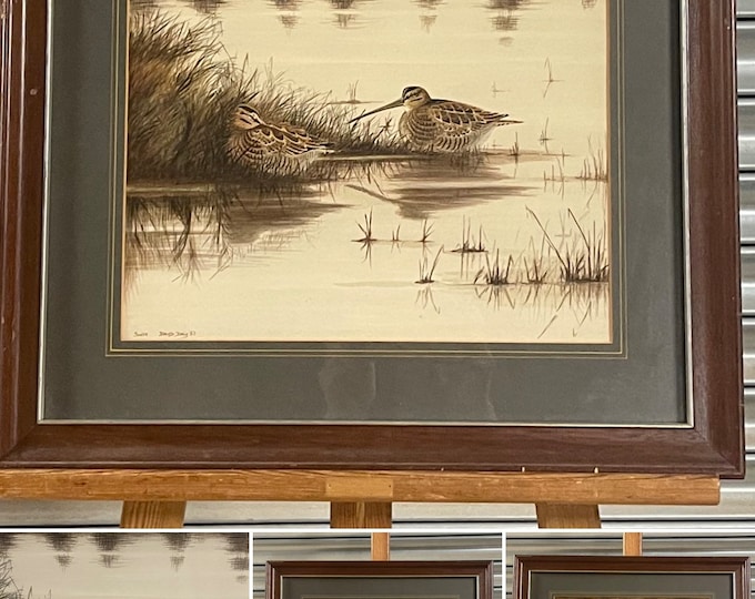 A Very Fine Watercolour of Snipe by the British Artist, David Daly, dated 1987