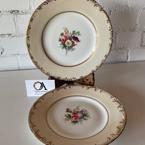 Pair of Wonderful 19th Century Hand Painted Floral Decorated Plates