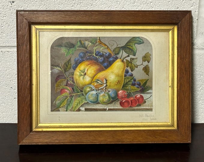 Exquisite Still Life Of Fruit Watercolour Dated 1869 By R C Stratfold, Woburn