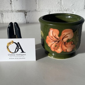 Stunning Vintage Small Moorcroft Hibiscus on Green Design, Jardinere / Planter