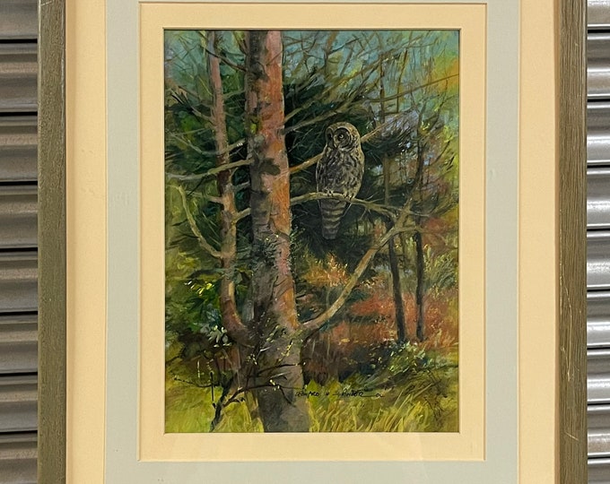 Beautiful Watercolour of a Grey Owl by the Artist, Leonard H Tinder