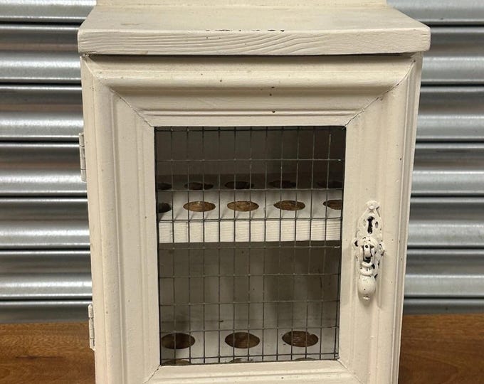 Charming Vintage Painted Wooden Egg Cabinet / Egg Safe – Wire Front – Country Farmhouse Style