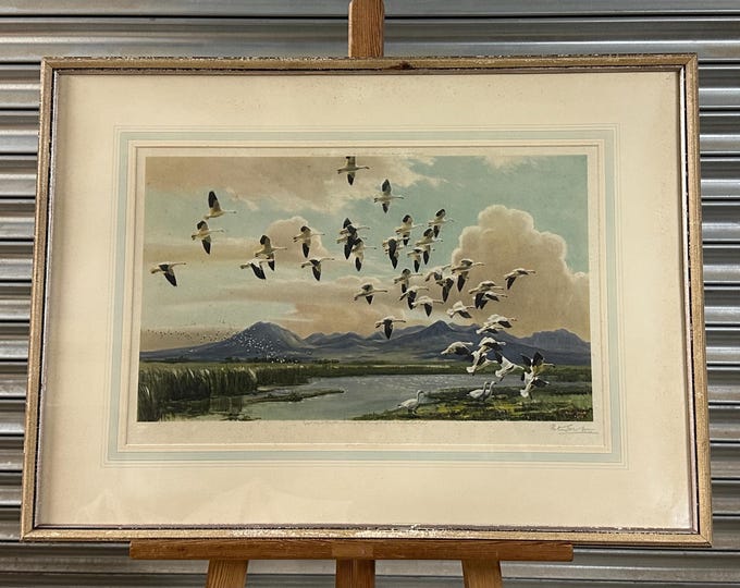 Large Peter Scott Print Titled Snow Geese In California 1939 Signed In Pencil in the margin