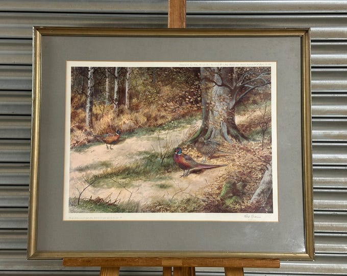 Large Wonderful Limited Edition 16/500 ‘Pheasants In Woodland’ By Philip Rickman
