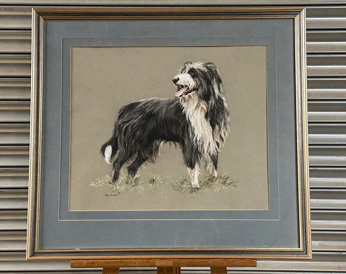 Stunning Original Pastel Of A Collie Dog By The Extremely Talented Artist Peter Barker