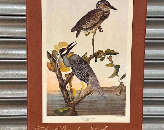 The Birds of America: The Bien Chromolithographic Edition, First Edition by John James Audabon 2013