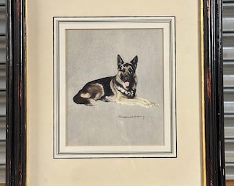 Lovely Watercolour Of A German Shepherd By The Scottish Artist Susan Berry