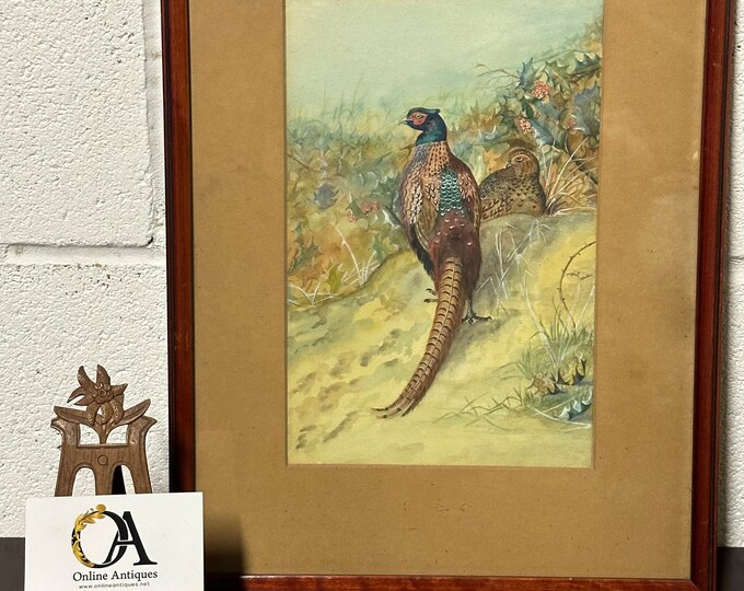Lovely Original Antique Watercolour Of a Cock and Hen Pheasant By Richard Bagnall Oakeley Dated 1927