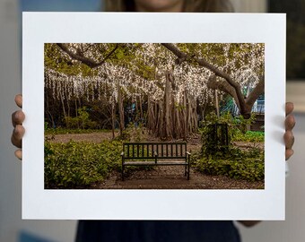 Matted Print | Fairy Light Tree | 6.5" x 4.5" print; 10"x8" white mount