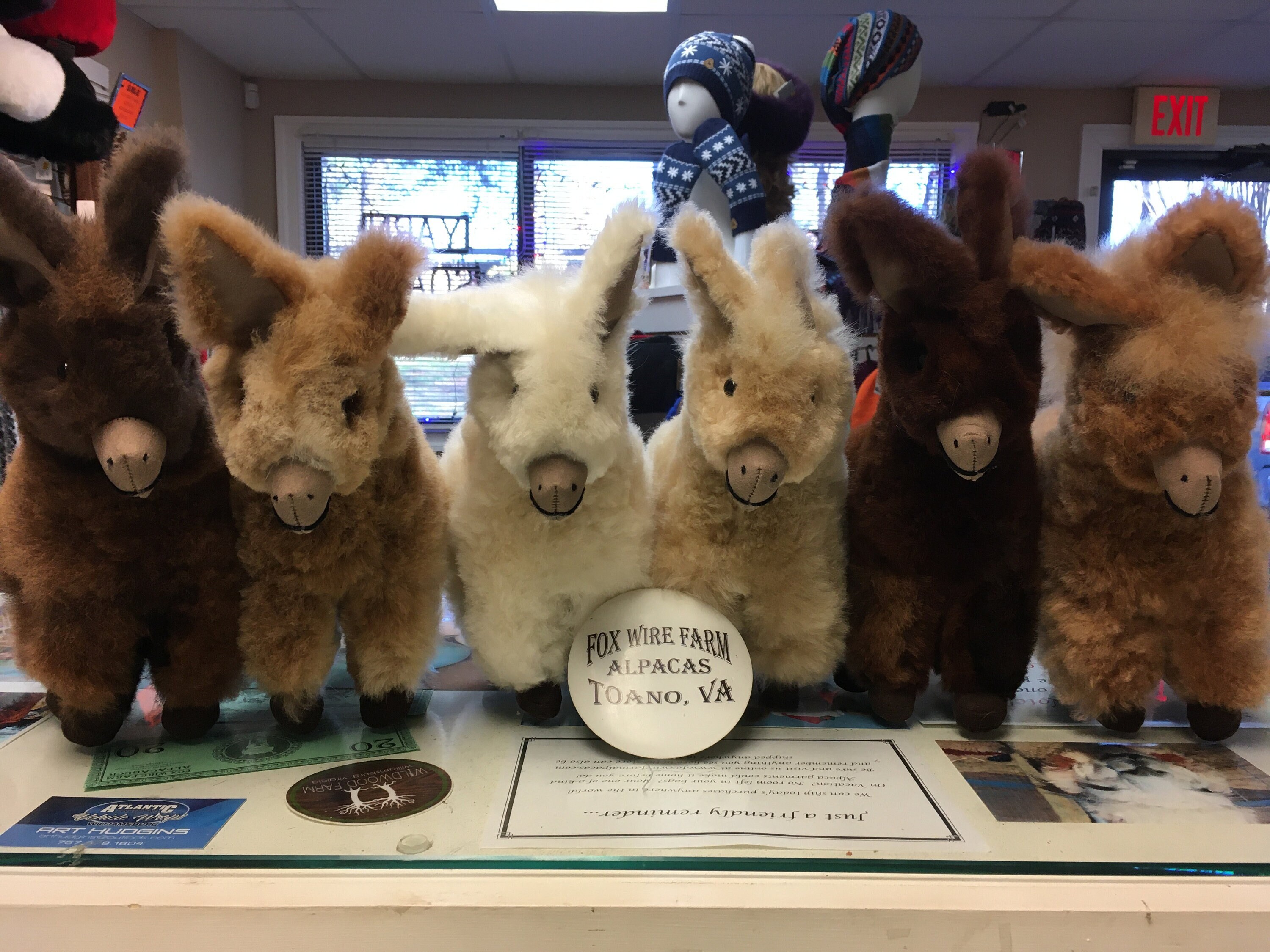 soft donkey toy