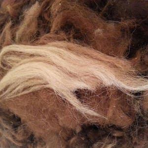 May include: Close-up of a pile of brown and white wool fibres. The fibres are soft and fluffy, and they are perfect for spinning or felting.