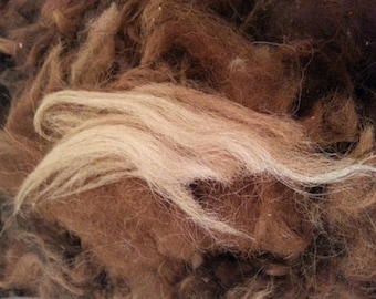 Natural Alpaca Fleece Bird Nesting Material: Soft Nest Builder